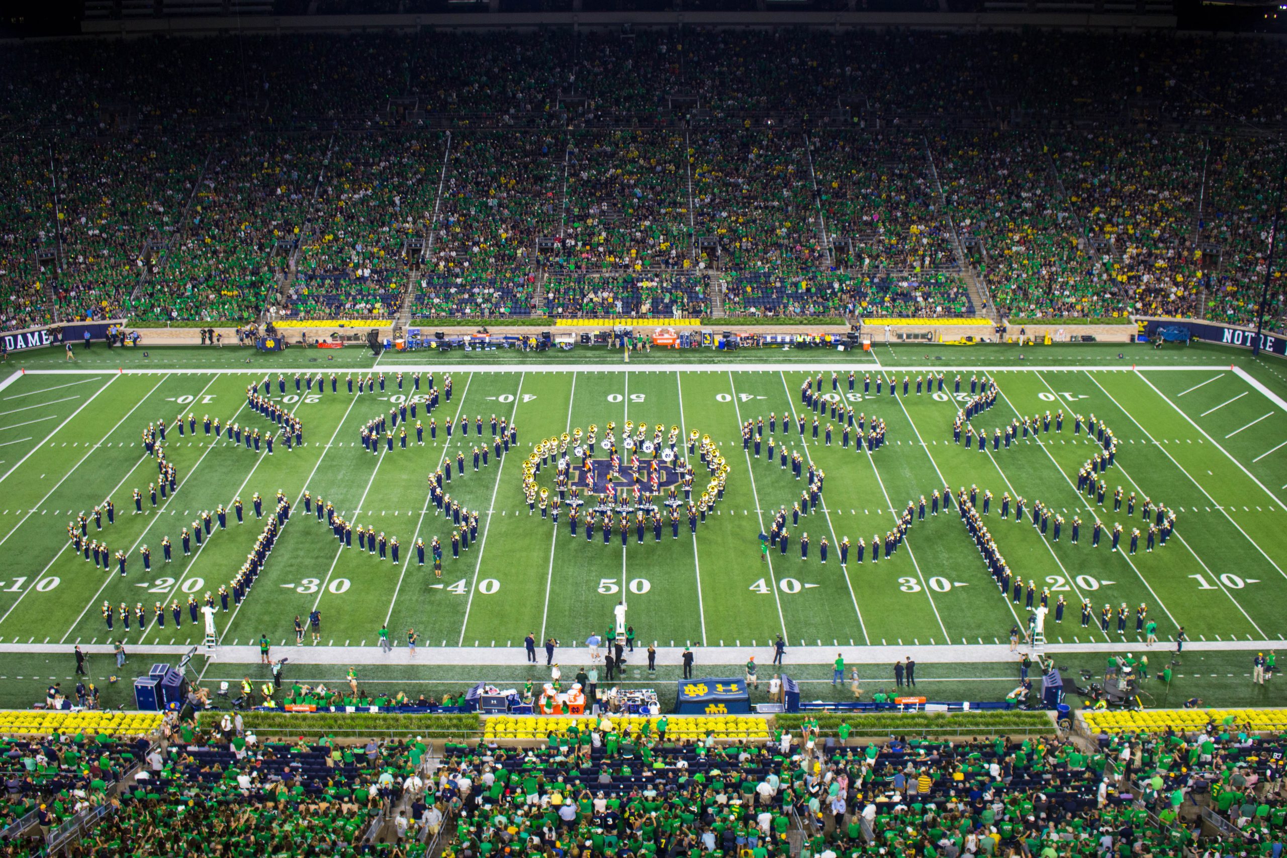 Shamrocks 1 Scaled 1